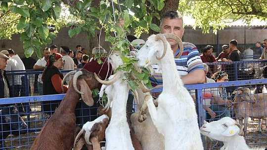 Kurban kesim noktası oluşturuldu