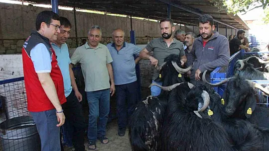 Kurban kesim noktası oluşturuldu