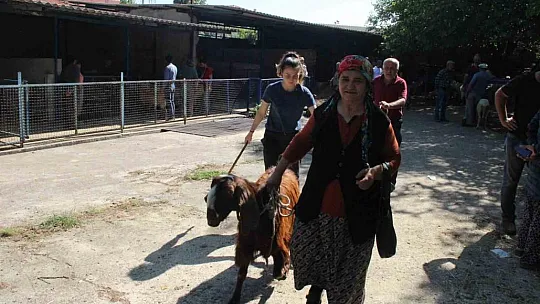 Kurban kesim noktası oluşturuldu