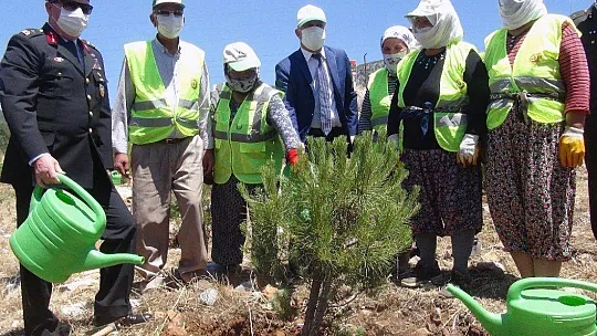 Muğla'da 15 Temmuz etkinlikleri