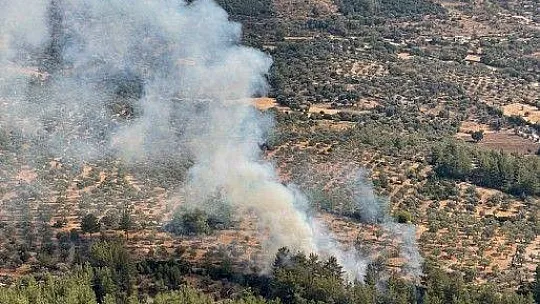 Muğla'da 15 yıldırım yangını söndürüldü