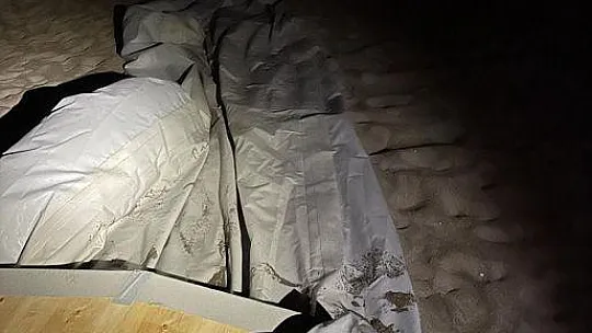 Muğla'da 2 göçmen kaçakçısı yakalandı