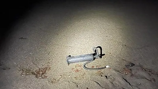 Muğla'da 2 göçmen kaçakçısı yakalandı