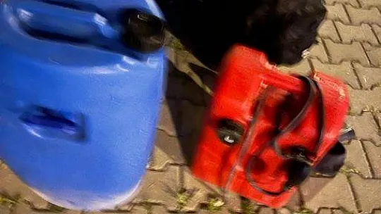 Muğla'da 2 göçmen kaçakçısı yakalandı