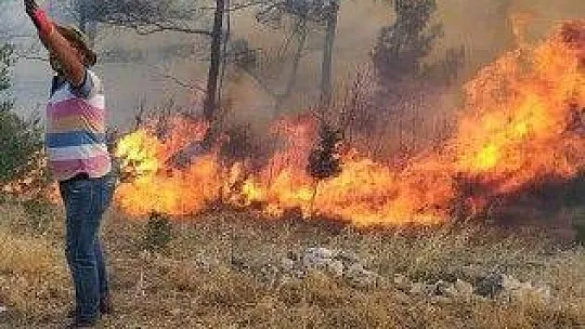 Muğla'da 2 yangın daha çıktı, devam eden yangın sayısı 5'e yükseldi