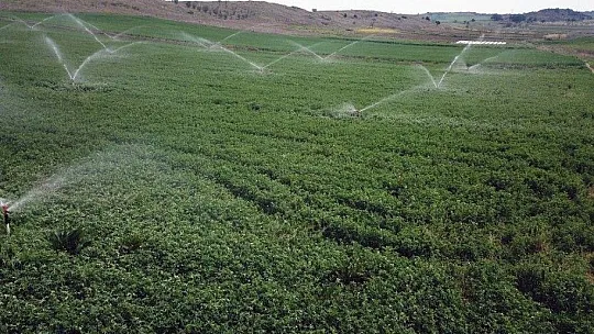 Muğla'da 2020 yılında 210 bin dekar alan sulandı