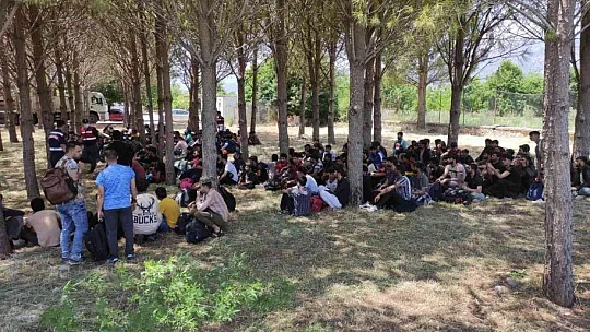 Muğla'da 237 düzensiz göçmen yakalandı