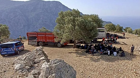 Muğla'da 237 göçmenin yakalandığı operasyonda 3 tutuklama