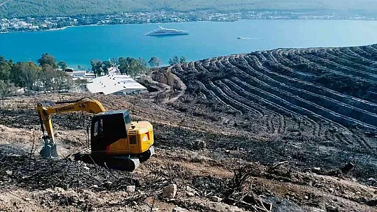 Muğla'da 28 milyon fidan toprakla buluşacak