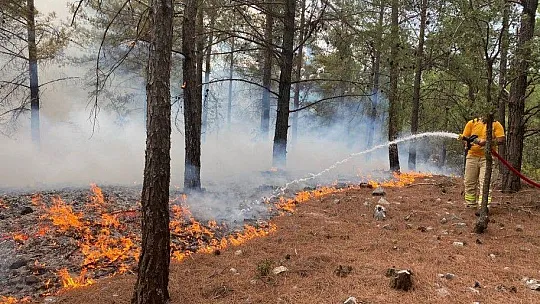 Muğla'da 3 günde 37 yıldırım yangını