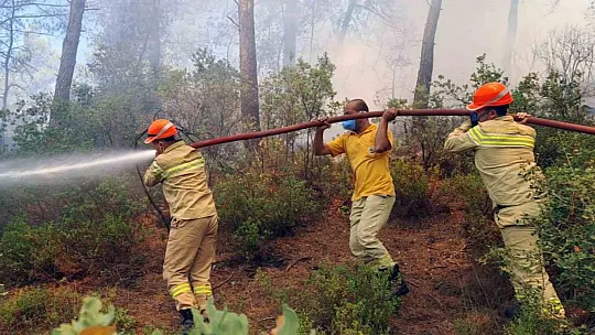 Muğla'da 3 saatte 6 yangın