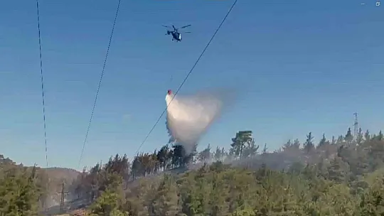 Muğla'da 3 saatte 6 yangın