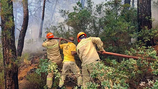 Muğla'da 3 saatte 6 yangın