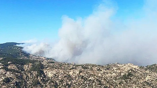 Muğla'da 4 noktada yangınlar devam ediyor