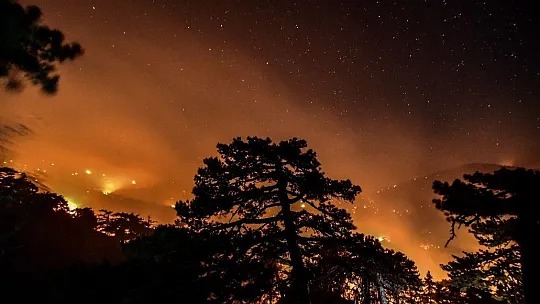 Muğla'da alevlerle mücadele gece boyu sürdü