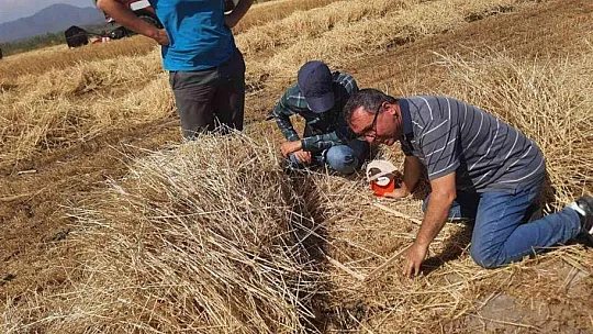 Muğla'da biçerdöverler denetleniyor