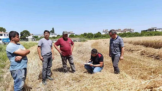 Muğla'da biçerdöverler denetleniyor