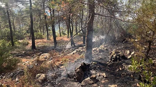 Muğla'da çıkan 10 yıldırım yangını büyümeden söndürüldü