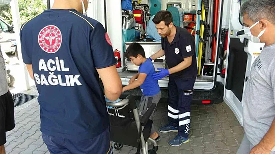 Muğla'da çocuğa köpek saldırısı