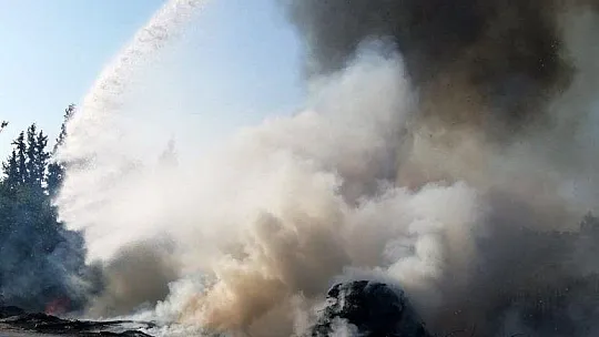 Muğla'da çöplük ve zeytinlik yangınları söndürüldü