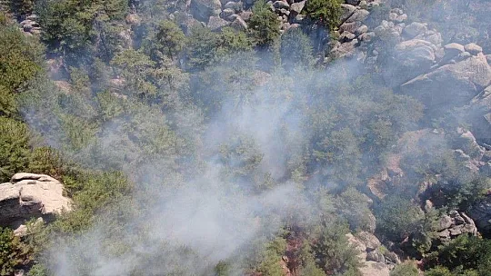 Muğla'da ekipler karadan su taşıdı, helikopter havadan müdahale etti
