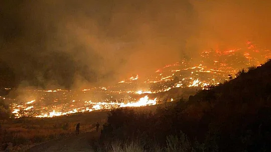 Muğla'da gece başlayan orman yangınını söndürme çalışmaları devam ediyor
