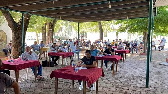 Muğla'da limon ihalesi