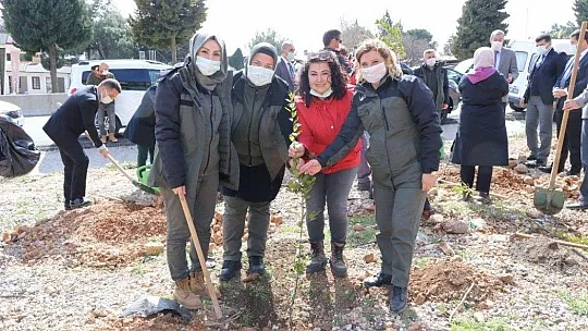 Muğla'da Mercan Hatıra Ormanı