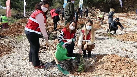 Muğla'da Mercan Hatıra Ormanı