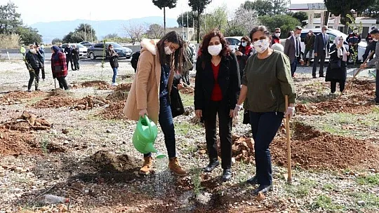 Muğla'da Mercan Hatıra Ormanı