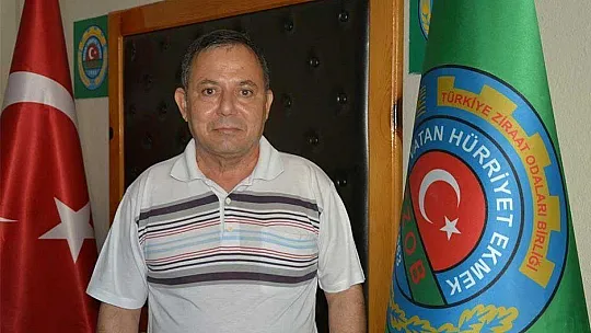 Muğla'da narenciye hasadı başladı