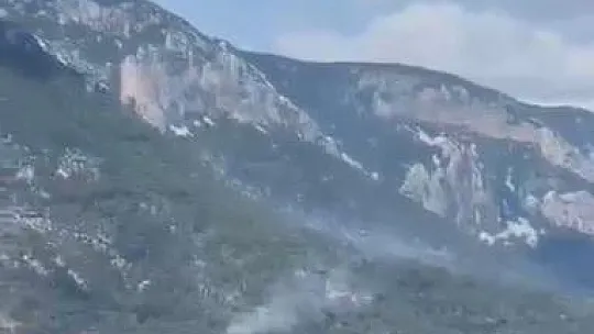 Muğla'da orman yangını  söndürüldü