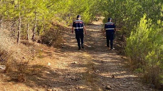 Muğla'da orman yangını riskine karşı teyakkuz