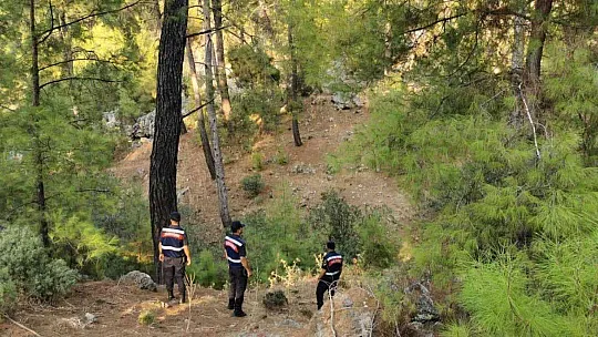 Muğla'da orman yangını riskine karşı teyakkuz