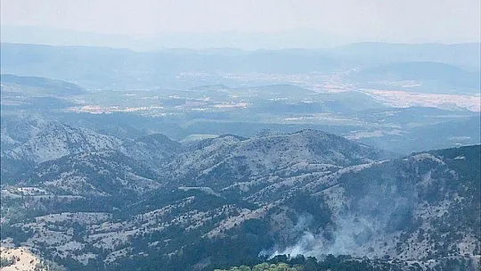 Muğla'da orman yangını