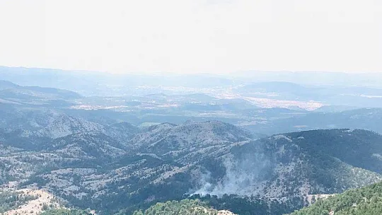 Muğla'da orman yangını