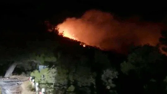 Muğla'da orman yangını