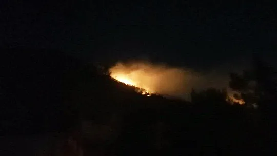 Muğla'da orman yangını