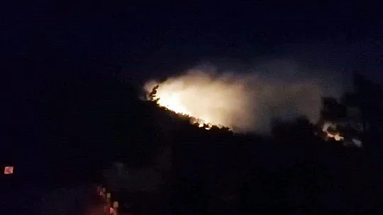 Muğla'da orman yangını