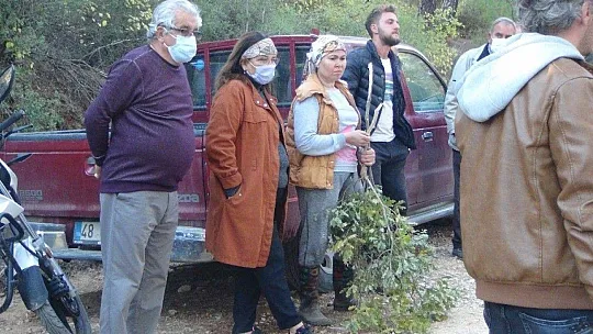 Muğla'da orman yangını