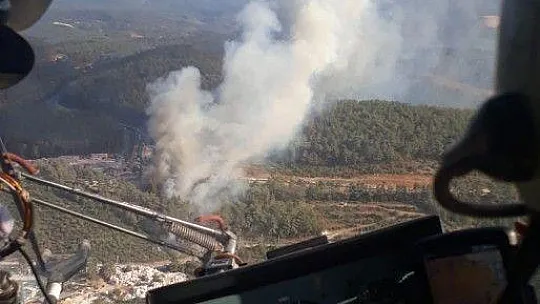 Muğla'da orman yangını