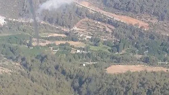 Muğla'da orman yangını