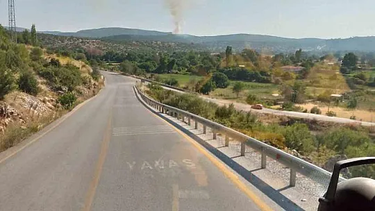 Muğla'da orman yangını