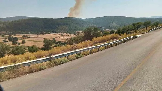 Muğla'da orman yangını
