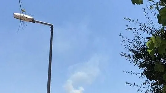 Muğla'da orman yangını