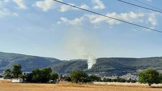 Muğla'da orman yangını