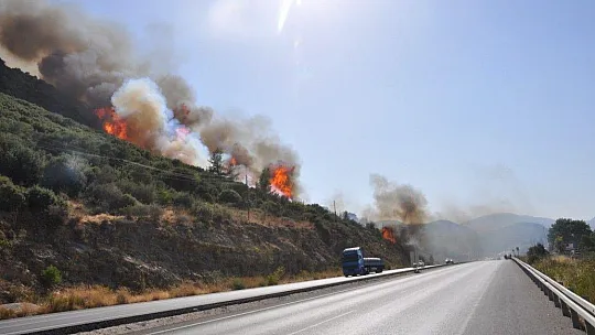 Muğla'da orman yangınları korkutuyor