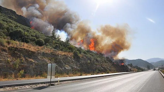 Muğla'da orman yangınları korkutuyor