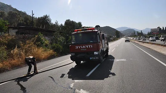 Muğla'da orman yangınları korkutuyor