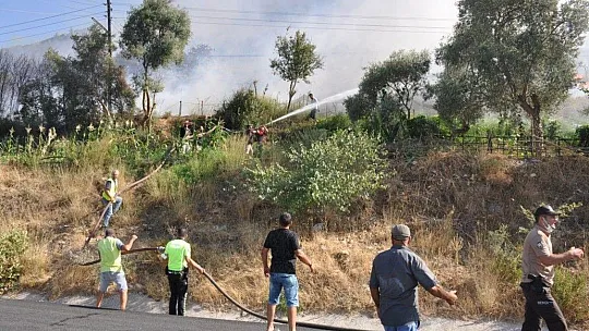 Muğla'da orman yangınları korkutuyor